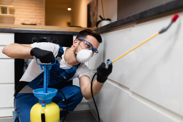 Best Cockroach Control Services  in Monahans, TX