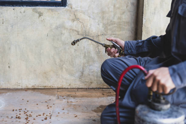 Trusted Monahans, TX Pest Control Experts